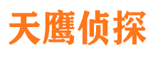 靖安市调查公司